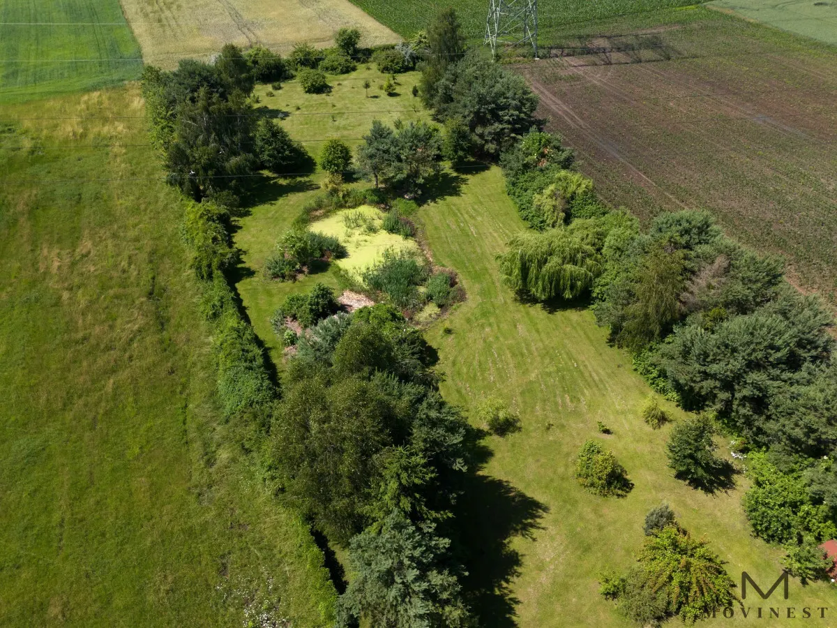 Dom z parkiem na działce 5509 m² w Dąbrowie!